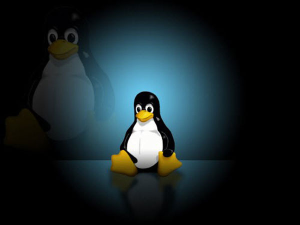 Linux Kernel V3.14.5 英文官方安装版